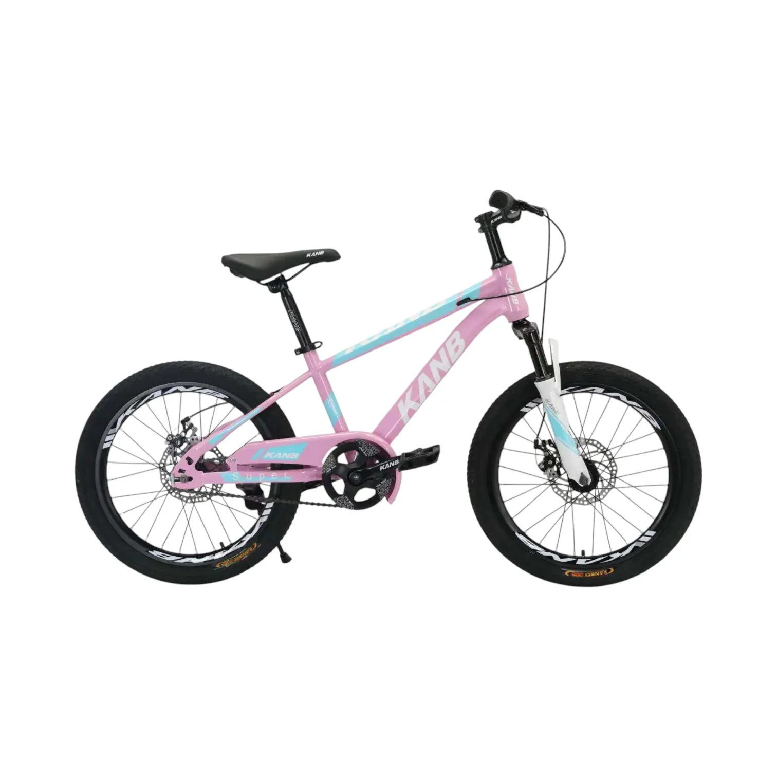 Youth Bicycle – Steel Frame, Mechanical Disc Brakes, 2.35" Tires | Model YB-5002 | OEM/ODM Wholesale