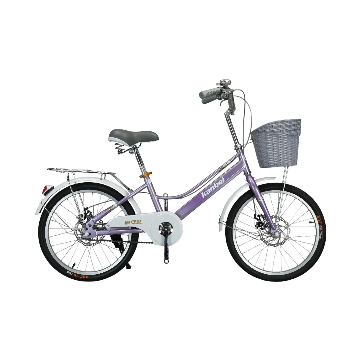 Youth Bicycle – Hi-Tensile Steel Frame, Dual Disc Brakes, 20"/22" | Model YB-5003 | OEM/ODM Wholesale
